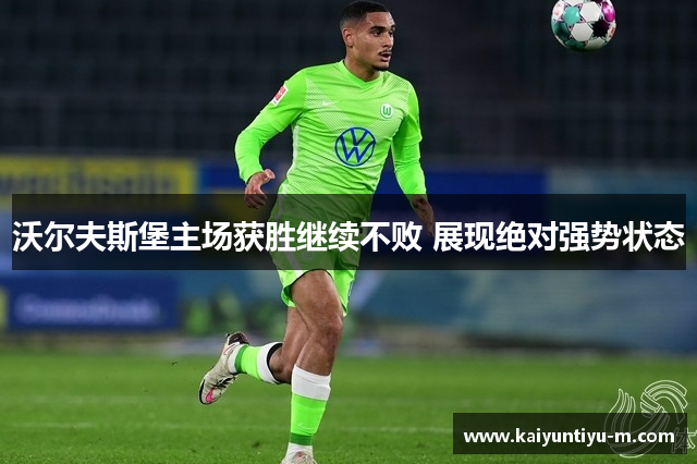 沃尔夫斯堡主场获胜继续不败 展现绝对强势状态