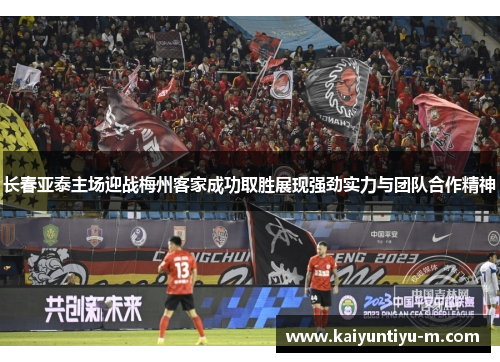 长春亚泰主场迎战梅州客家成功取胜展现强劲实力与团队合作精神