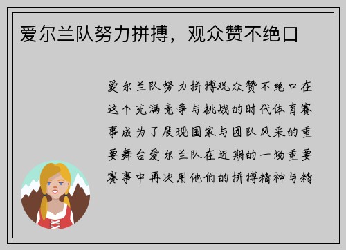 爱尔兰队努力拼搏，观众赞不绝口