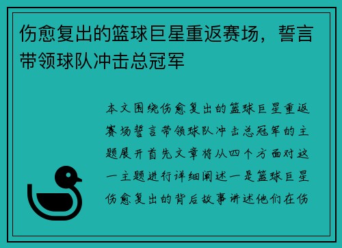 伤愈复出的篮球巨星重返赛场，誓言带领球队冲击总冠军