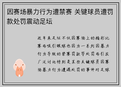 因赛场暴力行为遭禁赛 关键球员遭罚款处罚震动足坛